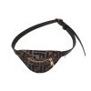 fendi bum bag for dog