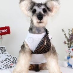 fendi bum bag for dog