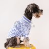 Fendi Monogram Sweater for dog in blue