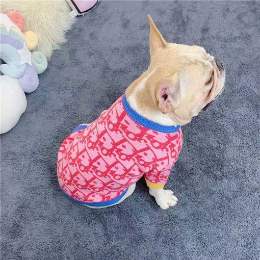 Christian Dior Monogram dog sweater in neon pink colour