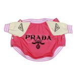 Prado Paw Varsity Jacket