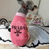 Dog wearing a pink 'Prada' outfit on a rug with a cartoon pillow in the background