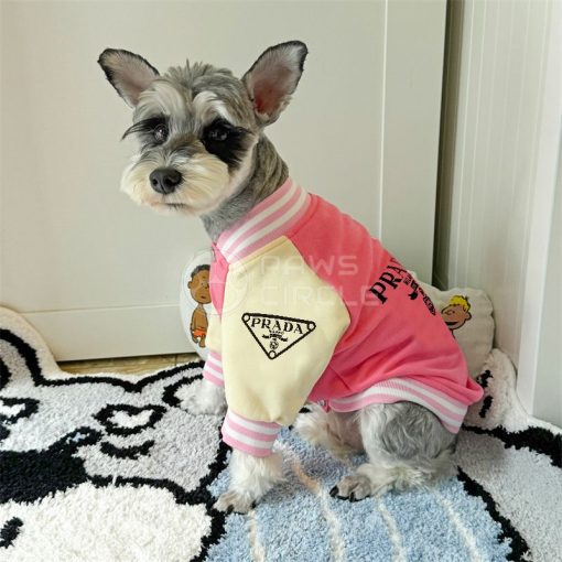 Dog wearing a pink and beige Prada outfit on a carpeted floor.