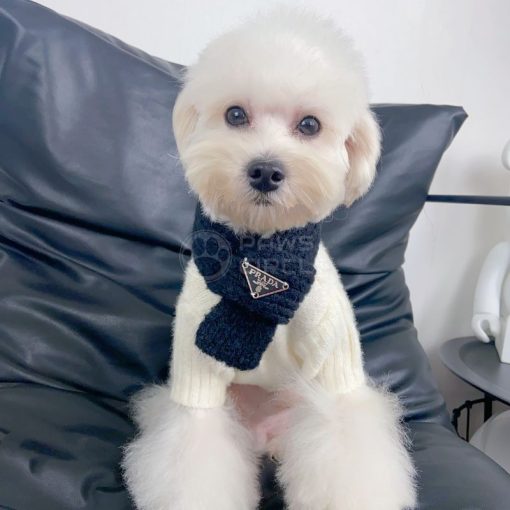 Prada knit scarf for dog