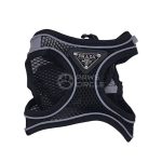Prado Paw Mesh Harness & Leash