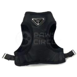 Alternative view of Prado Paw Nylon Harness & Leash