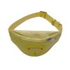 prada bum bag for dog