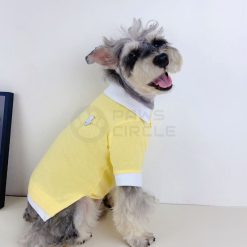 ralph lauren polo for dog