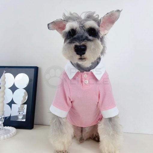 ralph lauren polo for dog