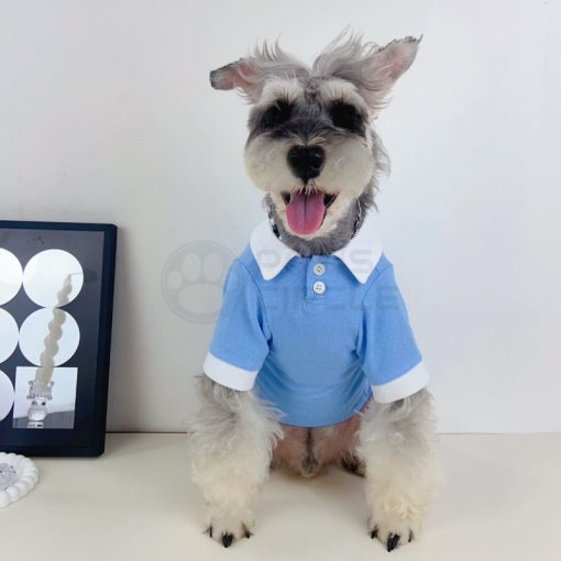 ralph lauren polo for dog