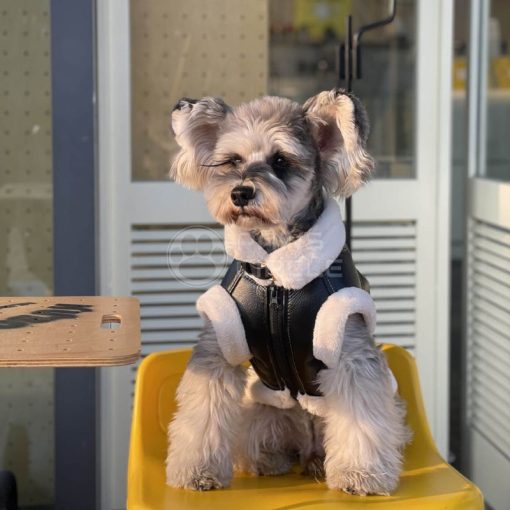 black leather dog jacket