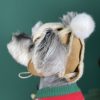 UGG DOG HAT