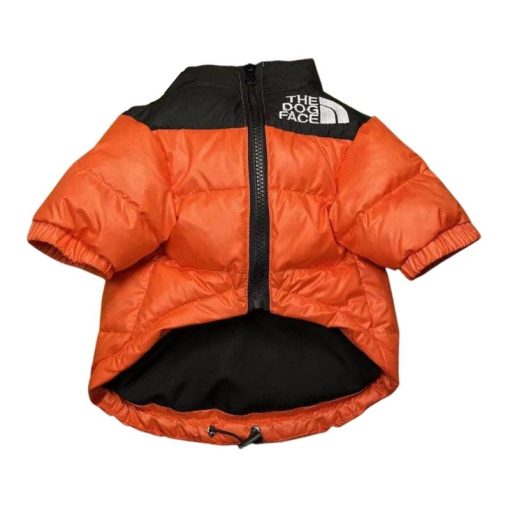 the dog face for dog