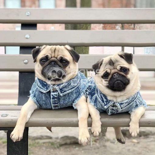 washed denim jacket for dog