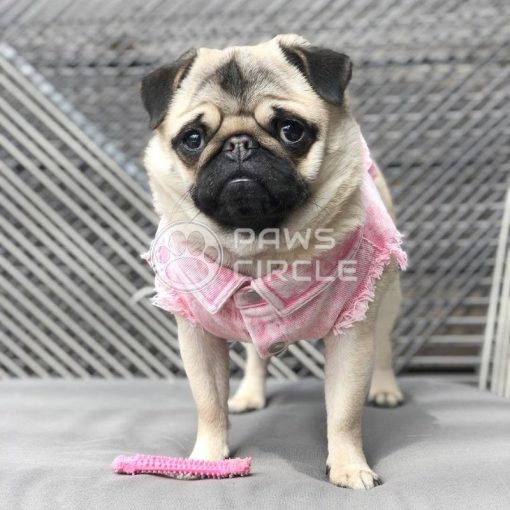 washed denim jacket for dog