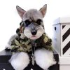 streetwear dog coat