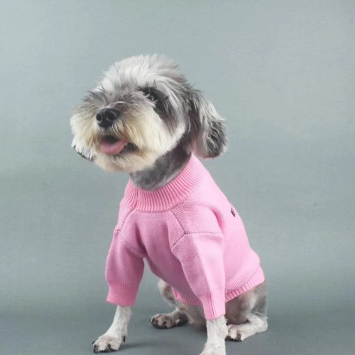 Barkenciaga Love Sweater for dogs - Paws Circle product image