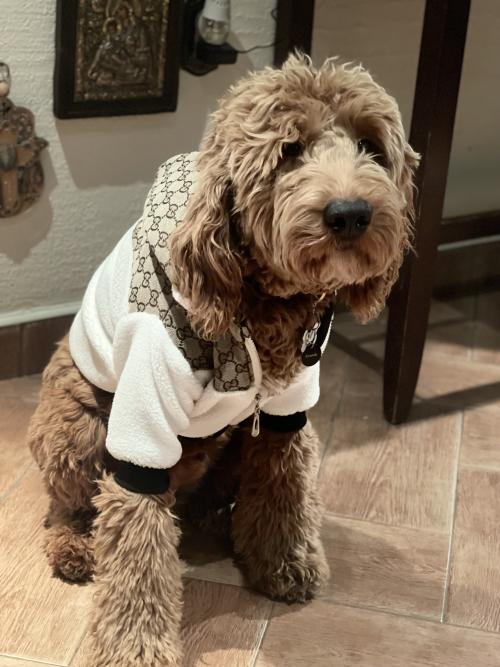 Image #1 from Giuseppe Caria