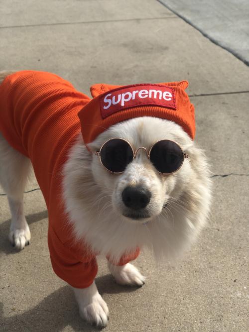 Image #1 from Denise