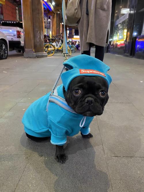 Image #1 from Lily Ashley