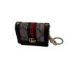 GG Monogram dog pouch