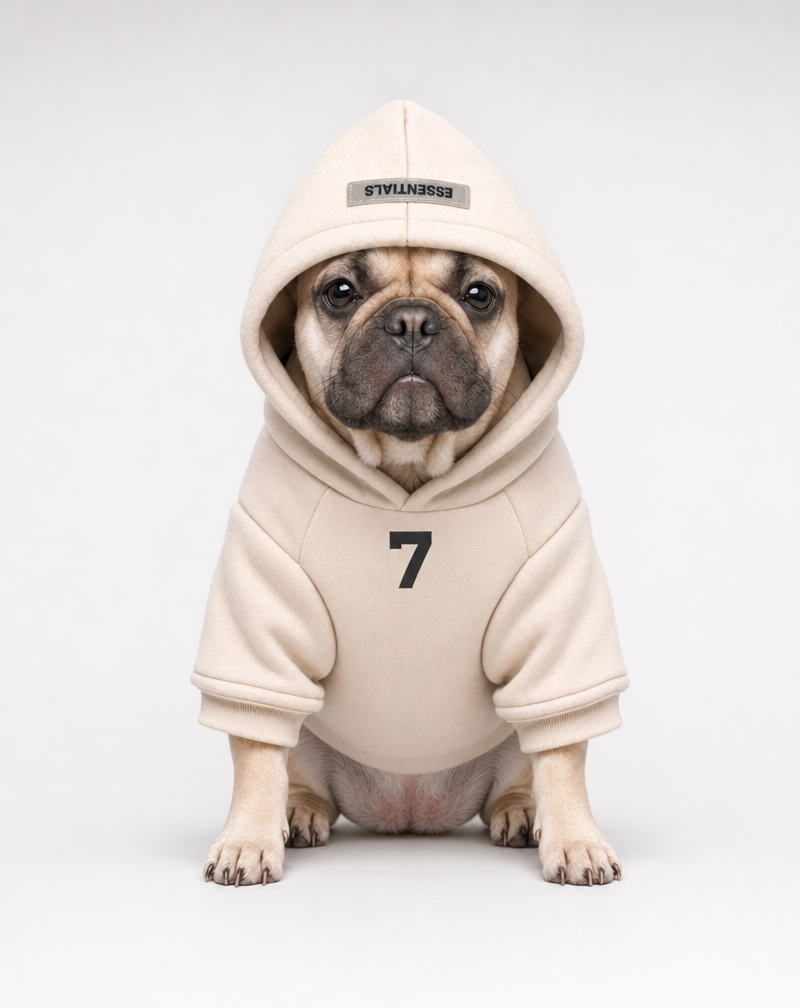 Hoodies/ Sweaters