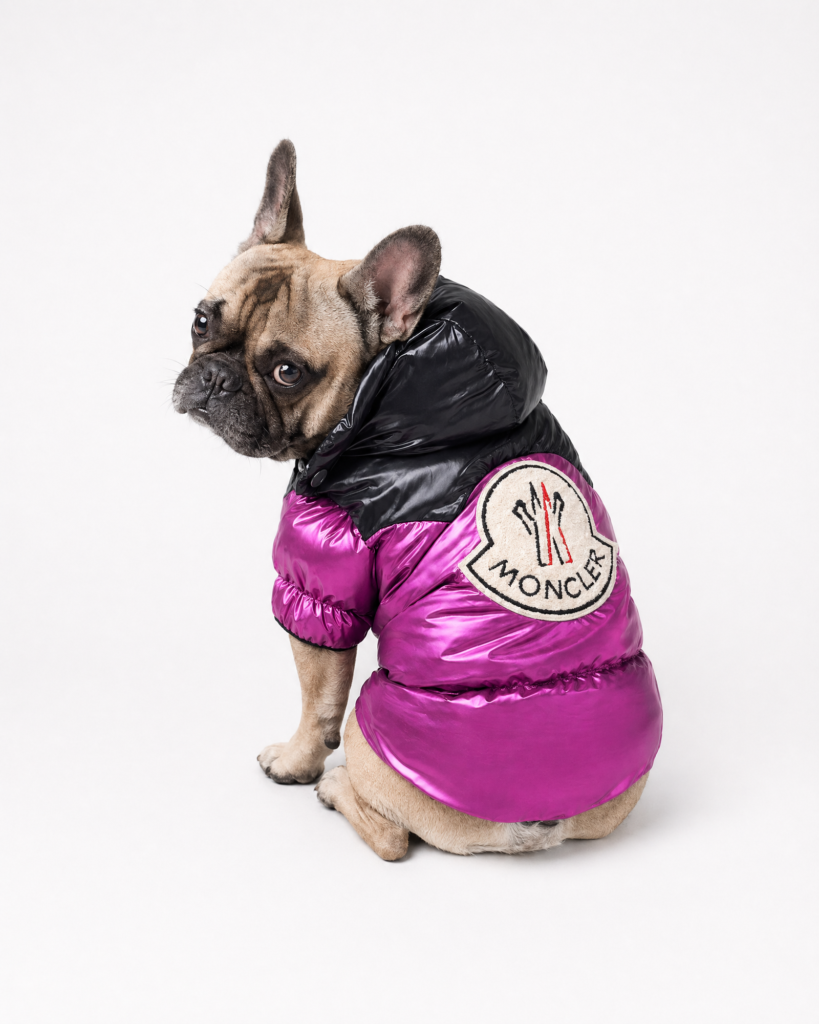 Jackets/ Windbreakers