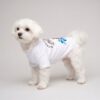 Small dog wearing the white Royal Guard graphic tee
