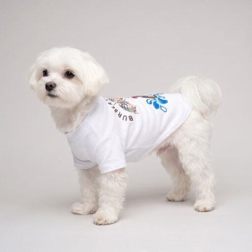 Small dog wearing the white Royal Guard graphic tee