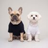 Two small dogs in black and white baseball bear dog tees