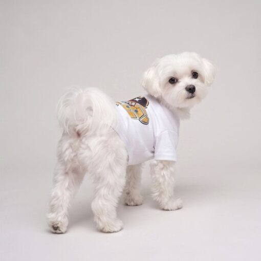 Small dog wearing the white pirate bear dog t-shirt