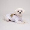 Small dog resting in the white Pawchino Pirate Bear dog tee