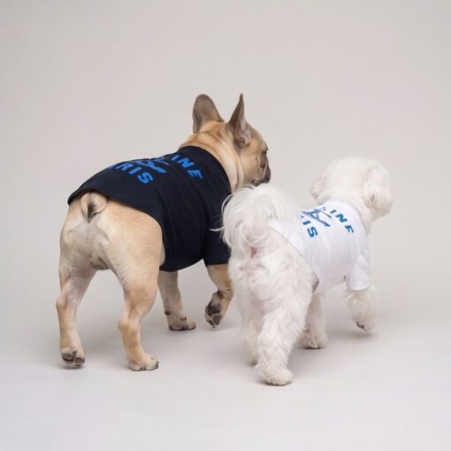 Two small dogs wearing Pawline Anchor graphic tees