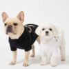Two small dogs wearing Polo Pup Club Tennis Bear tees
