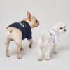 Two small dogs wearing Pupchi Dog Driver tees