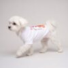 Small dog wearing the white Pupchi Guitar t-shirt
