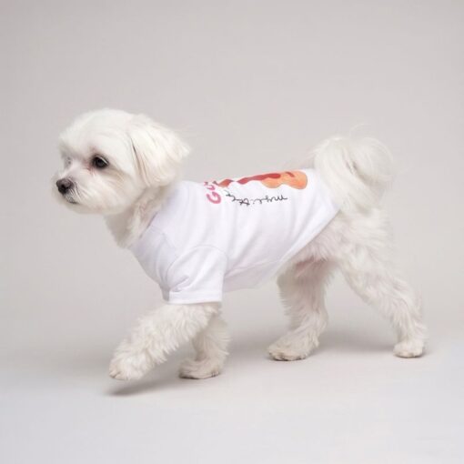 Small dog wearing the white Pupchi Guitar t-shirt