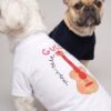 Close view of the Pupchi Guitar dog tee graphic