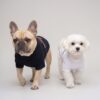 Two small dogs wearing Pupchi Ribbon graphic tees