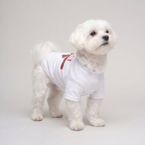 Small dog wearing the white Pupchi Ribbon t-shirt