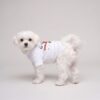 Side view of the white Pupchi Train dog t-shirt