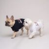 Two small dogs wearing Pupchi Train graphic tees