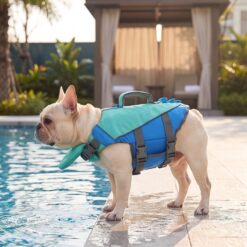 Paws Circle ChinGuard Flex Life Vest lifestyle dog swim image 1