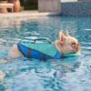 Paws Circle ChinGuard Flex Life Vest lifestyle dog swim image 2