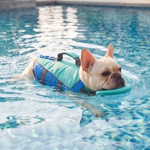 Paws Circle ChinGuard Flex Life Vest lifestyle dog swim image 4