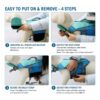 Paws Circle ChinGuard Flex Life Vest steps view