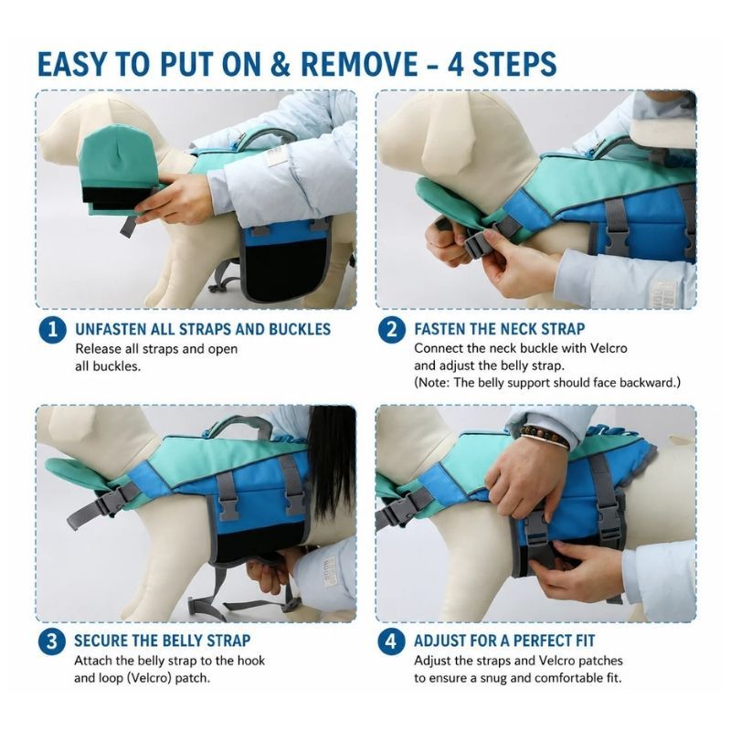 How to put on the Paws Circle ChinGuard Flex Life Vest