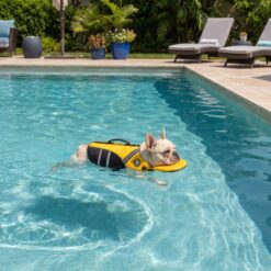 Dog swimming in pool wearing Paws Circle ChinGuard dog life vest