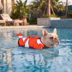 Paws Circle Clownfish Life Vest lifestyle dog swim image 1