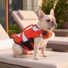 Paws Circle Clownfish Life Vest lifestyle dog swim image 4